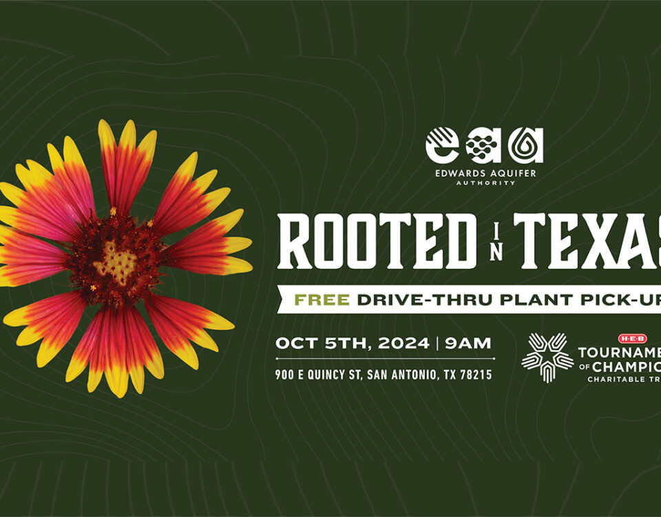 Rooted in Texas